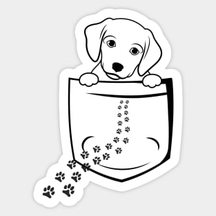 Dog In Pocket Sticker